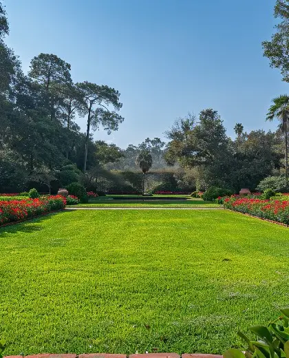 Landscaped Garden